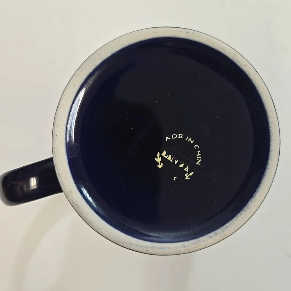 Vintage 1997 Boy Scout Mug Wilderness Survival Spring Camporee Kaposia Blue BSA